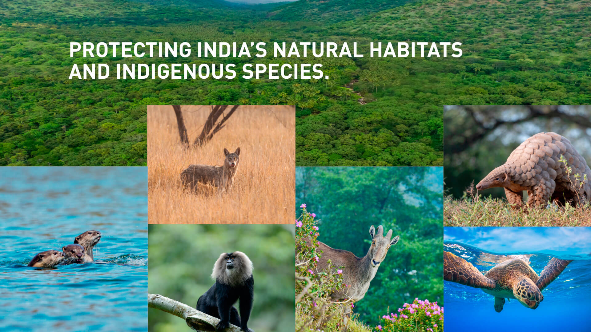 Protecting Natural Habitats of India - The Habitats Trust